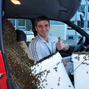 Nicht nur ein Bienenschwarm im Auto, sondern gleich zwei. Abends beim Training bei McFit in Bonn und einige der Sportler nutzten die Gelegenheit für nette Bilder