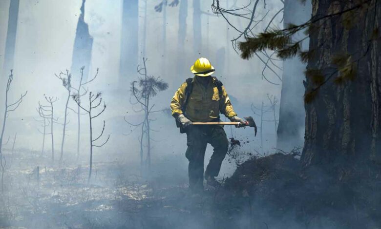 Ein Feuerwehrmann im Einsatz gegen das Washburn Feuer im Yosemite National Park am 11. Juli 2022 (Foto: Nic Coury/AFP)