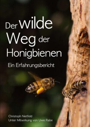 Der wilde Weg der Honigbienen: Ein Erfahrungsbericht | Christoph Nietfeld