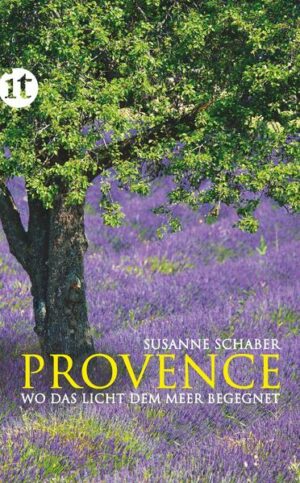 Provence  das sind blühende Lavendelfelder