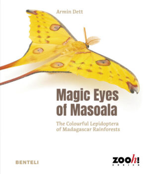 Magic Eyes of Masoala: The Colourful Lepidoptera of Madagascar Rainforests | Dett Armin