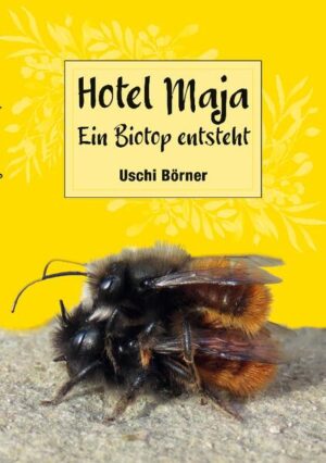 Hotel Maja: Ein Biotop entsteht | Uschi Börner