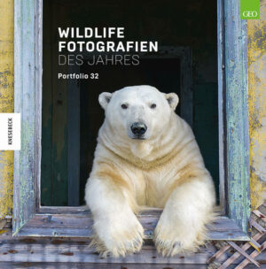 Die besten Bilder des Wildlife Photographer of the Year-Awards 2022 Der renommierte
